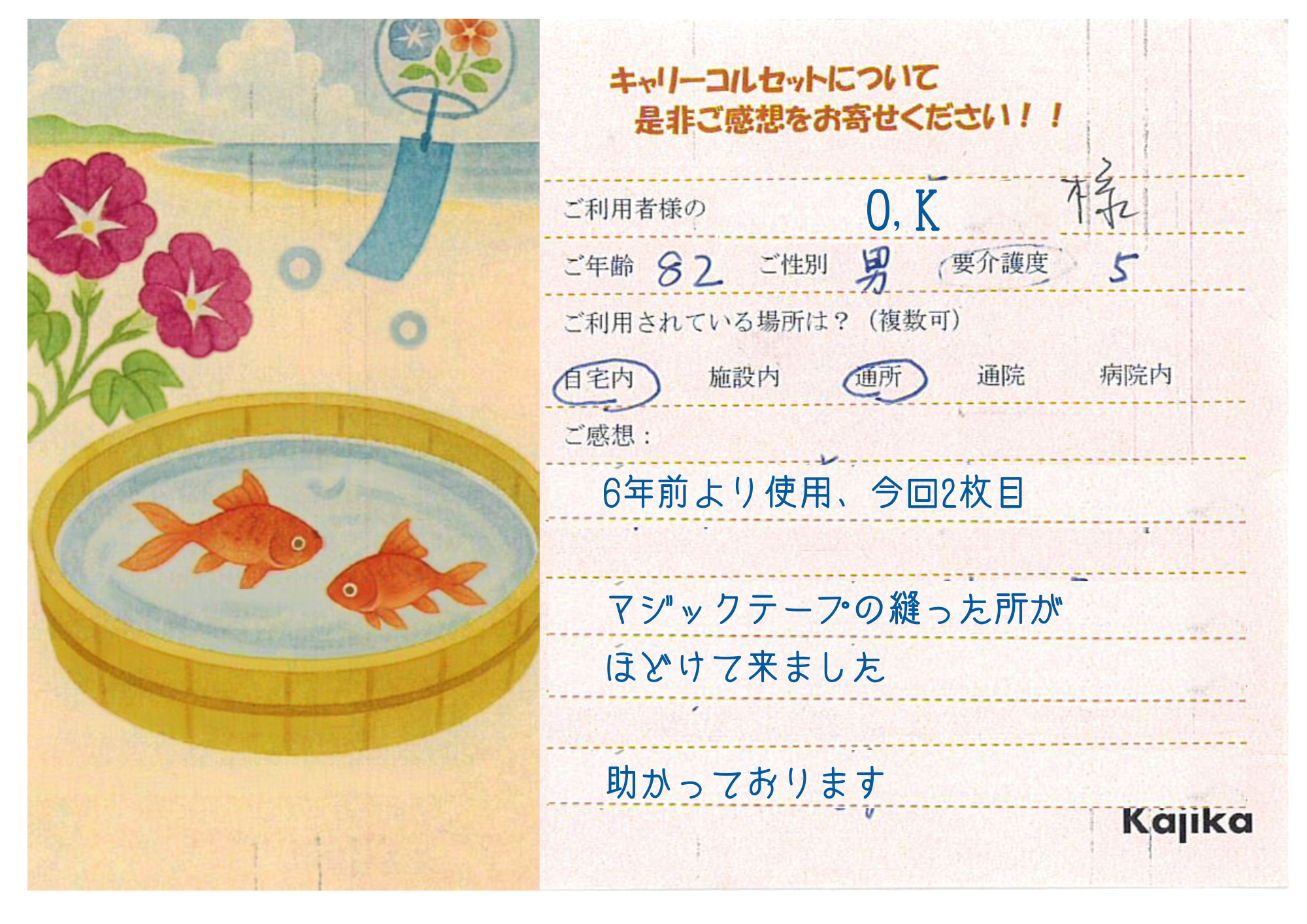 メディア実績